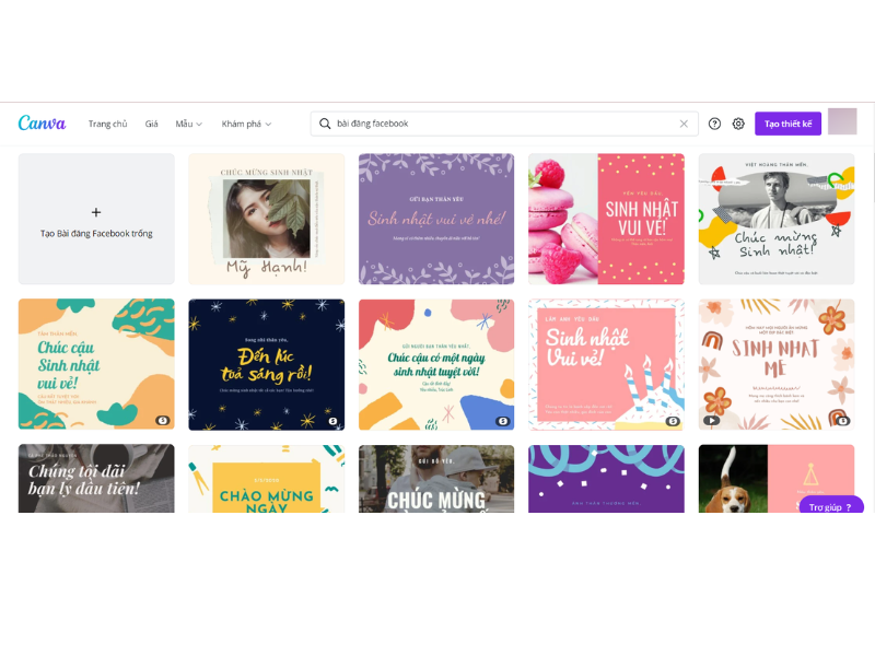 Hướng dẫn cách sử dụng Canva