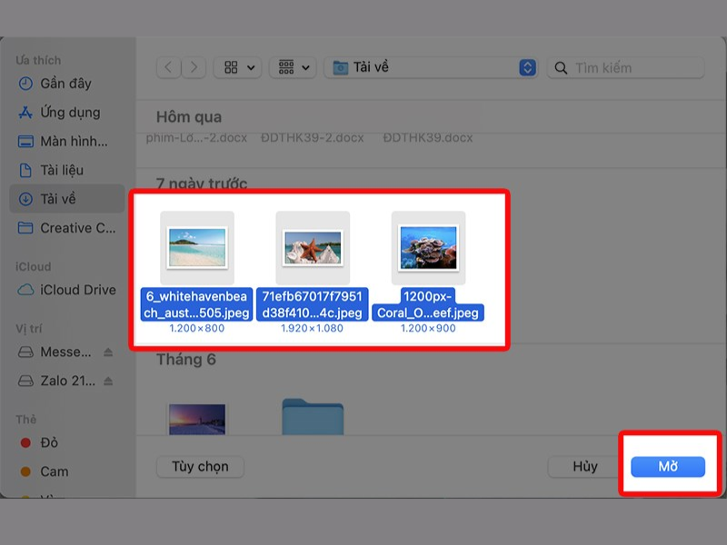 Cách tạo bảng trong Canva