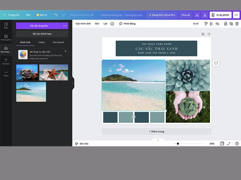 Cách tạo bảng trong Canva