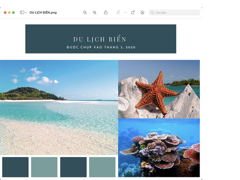 Cách tạo bảng trong Canva